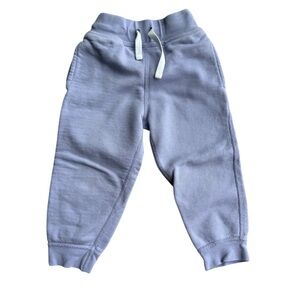 Hanna Andersson Purple Sweatpants (3T/90)